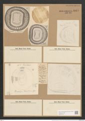 Campylodiscus daemelianus Grun. (de-Toni-Nr.: Genus 57, Species 2454) Zeichnungen Sammlung Grunow Nr. 4943 (NHMW-BOT-W0373157)